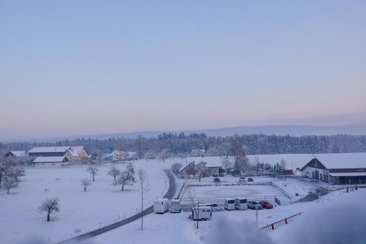 Trautesheim Ferienwohnungen Wangen im Allgäu Exterior foto