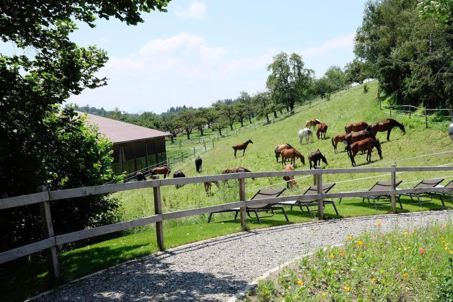 Trautesheim Ferienwohnungen Wangen im Allgäu Exterior foto